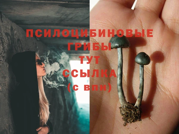меф Карпинск
