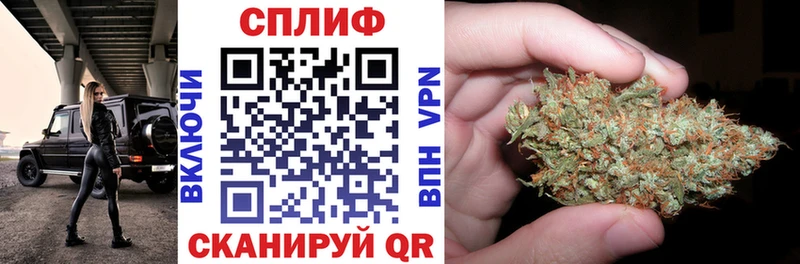 Купить закладки  Горняк  Бошки марихуана ГИДРОПОН 